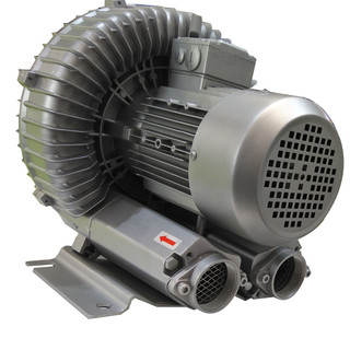 Wholesale Three Phase Air Vacuum Pump for SPA Swimming